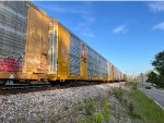 TTGX 699128